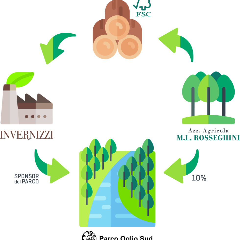INVERNIZZI Infografica produzione pioppeto produzione AZIENDA AGRICOLA MARIA LUISA ROSSEGHINI
