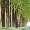 Sustainability Report