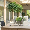 green building