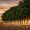 Sustainability