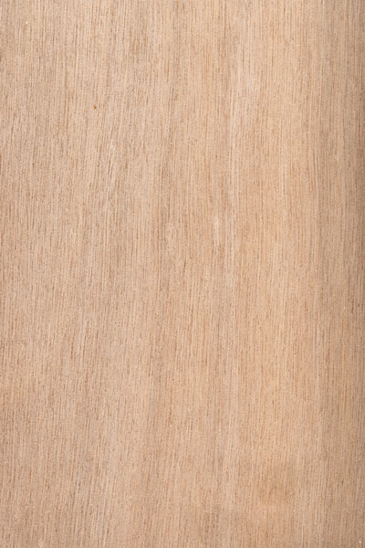 Sperrholz TWIN Okoumé