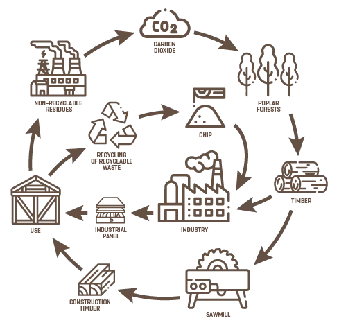 GREEN AREA WORK CYCLE